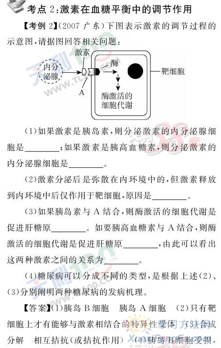 高考生物考点精析—激素在血糖平衡中的调节第1页