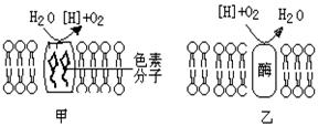 高考资源网(www.ks5u.com)，中国最大的高考网站，您身边的高考专家。