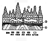 http://www-wcm.pep.com.cn/webpic/W0200909/W020090903/W020090903543450358555.gif