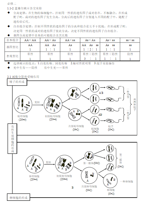 高中生物必修二知识框架图
