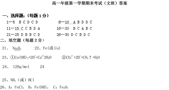 冀州中学2010-2011上学期期末考试高一化学（文）试题