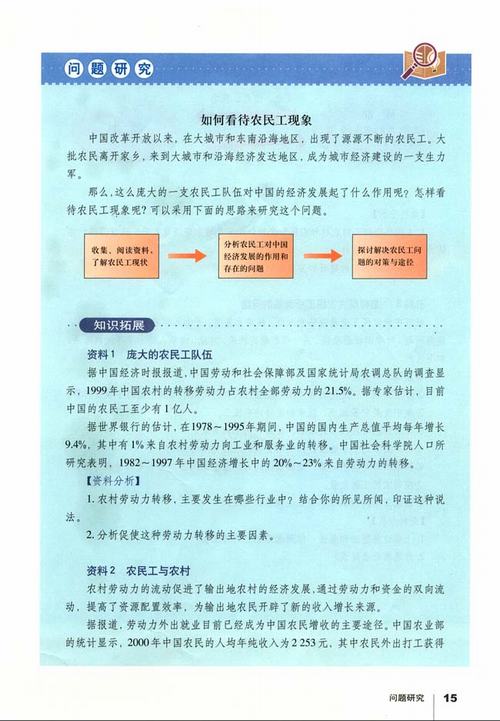 人教版地理必修2电子书 问题研究 如何看待农民工现象