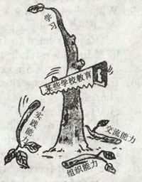 狭隘的学习要不得